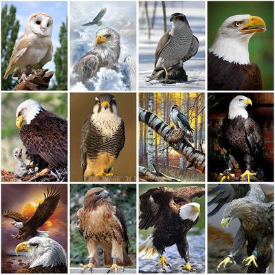 DIY 5d Diamond Embroidery Full Round Drill Eagle Diamond Painting Cross Stitch Mosaic Kits Wall Art Animal Home Decor Gift