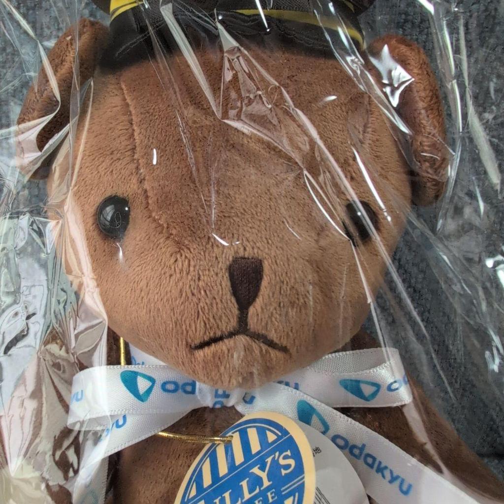 [USED] TULLY'S Odakyu Electric Railway Bearful Teddy Bear