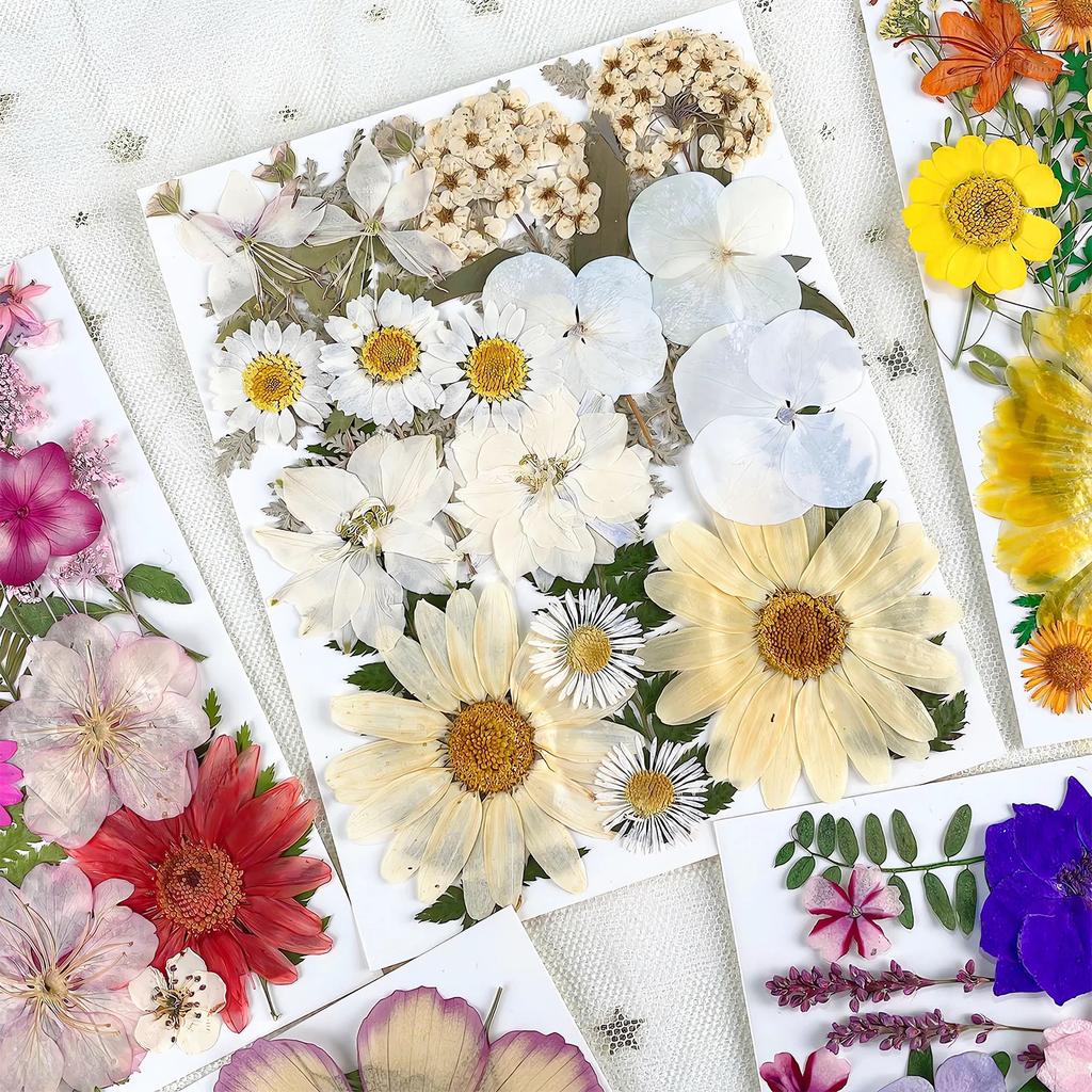 25PCS Dried Flowers Set for DIY Resin Pendant Making Filling Pressed Real Natural Flowers Leaves for Bookmark Phose Case Making