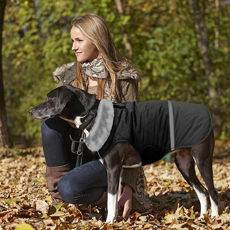 Benepaw Warm Fleece Collar Dog Coat Jacket Reversible Winter Dog Clothes Waterproof Puppy Clothing For Small Medium Large Dogs