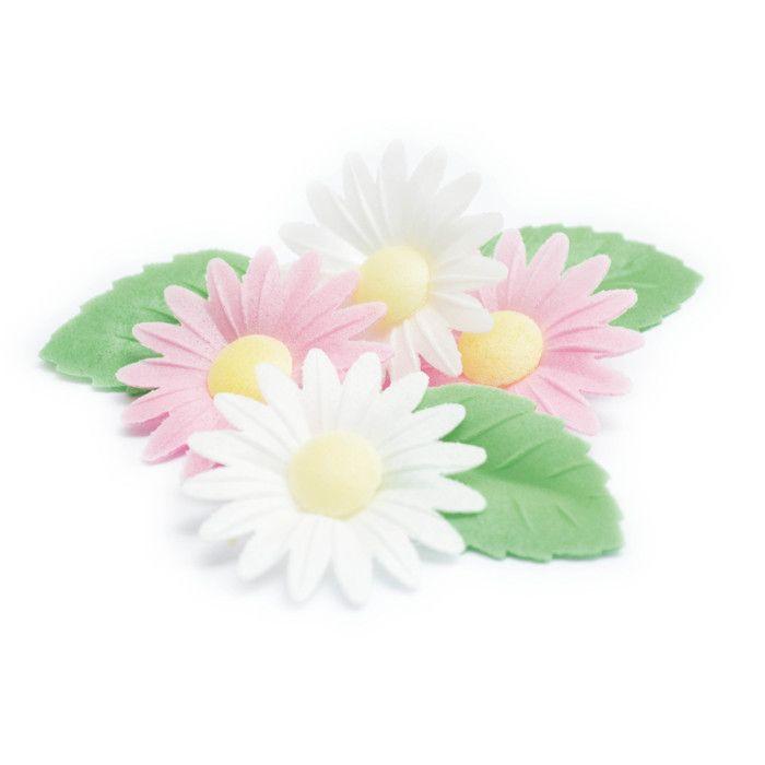 Daisies and Green Leaves Wafer