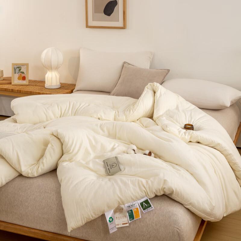 Fan Shun Thick Winter Duvet Insert, Cotton Shell