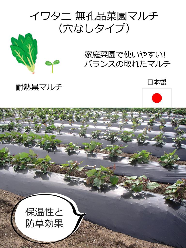 Iwatani Materials Iwatani Black Mulch for Vegetable Gardens, 0.02mm X 135cm X 50m