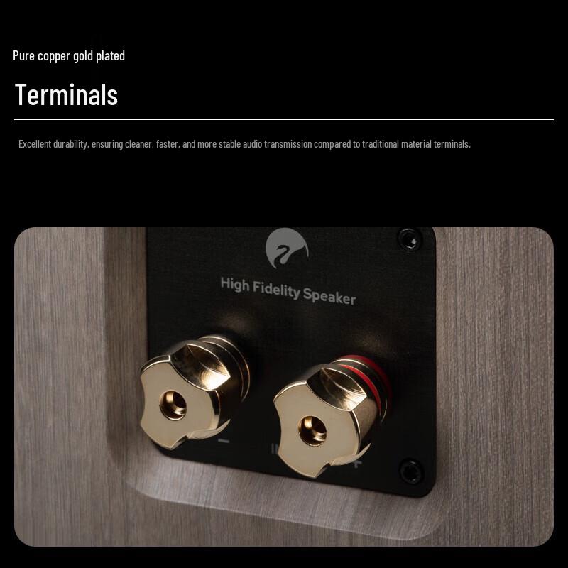 HiVi Oasis Passive HiFi Bookshelf Speaker CN plug (adapter included) (CN version)