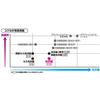 KOKUYO Inkjet Printer Paper Photo Paper Glossy Paper A3 30 Sheets KJ-G14A3-30