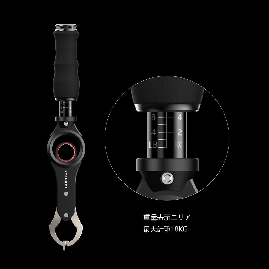 Gomexus Fish Aluminum Measuring Fish 22kg for Lure Fishing Grip, Alloy, Function, Grab, Rust-Resistant, 360-Degree Rotation, Durable, Capacity,