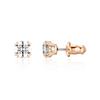 5638801 Stilla Constella Stud Earrings