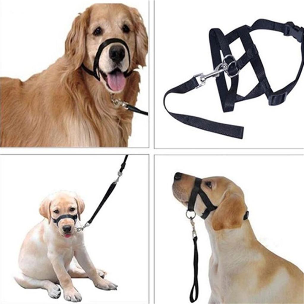 Dog Head Collar, No Pull Head With Soft Padding, Durable Headcollar For Medium Dogs