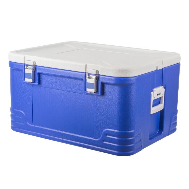 55L Insulated Food Delivery & Cooler Box