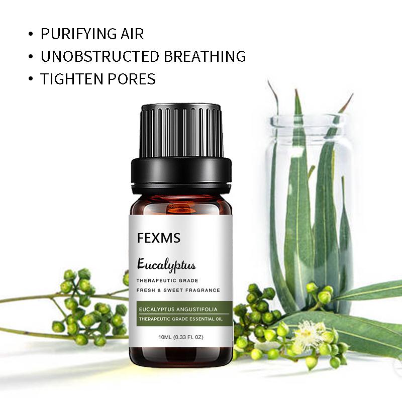 Eucalyptus Essential Oil (100% Pure & Natural - Undiluted) Therapeutic Grade - Perfect for Aromatherapy 10ml