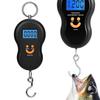 50kg/10g Portable Scale LCD Digital Display BackLight Fishing Weights Hand Scale Travel Fishing Hanging Hook Scale