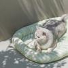 ZEZE Wavy Cooling Pet Bed