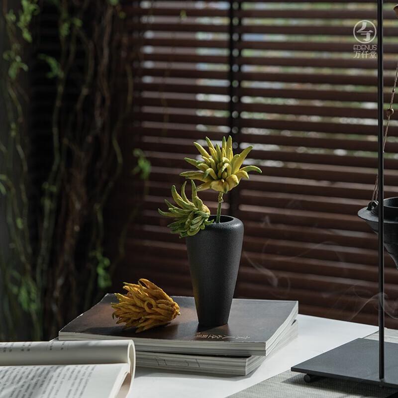 Edenus Ceramic Kung Fu Tea Set