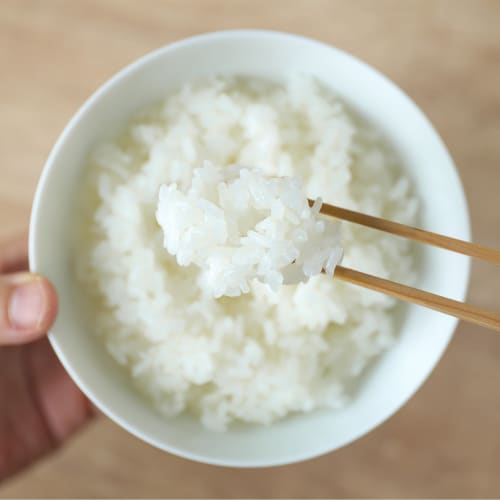 BALMUDA The Gohan 3-cup Electric Rice Cooker BALMUDA The Gohan K03A-WH
