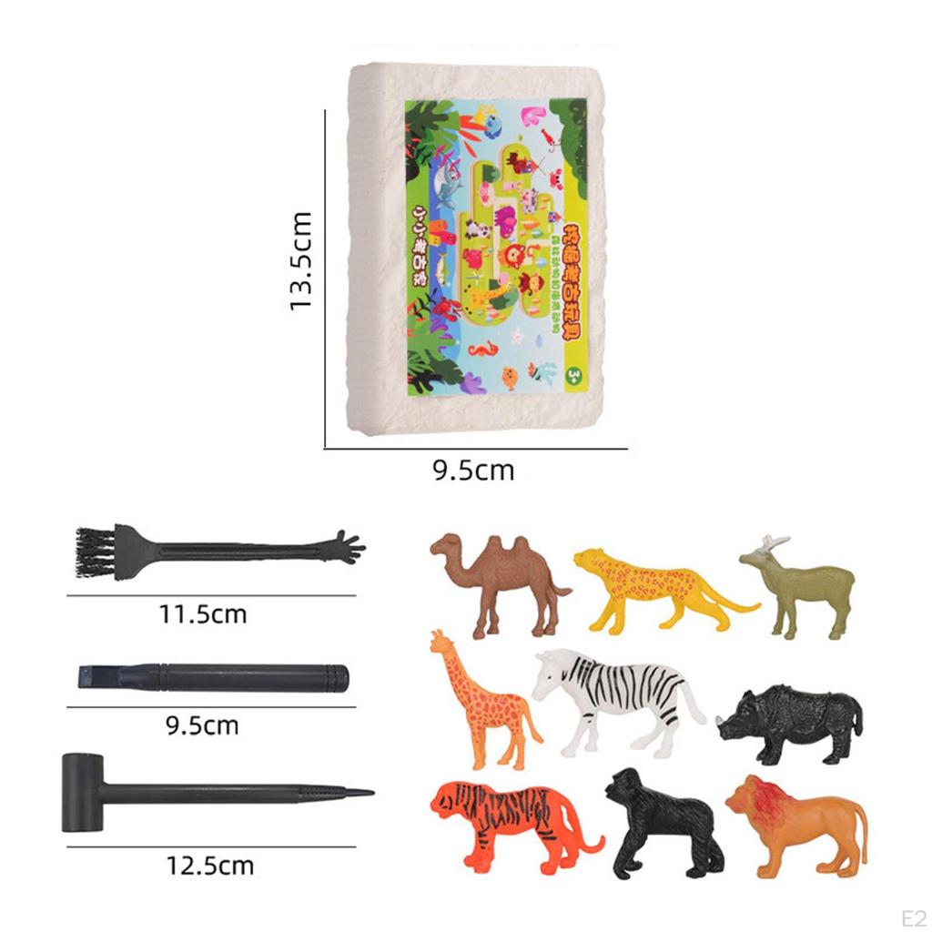 Archaeology Discovery Excavation Kits Stem Activities DIY Digging Toys for Children