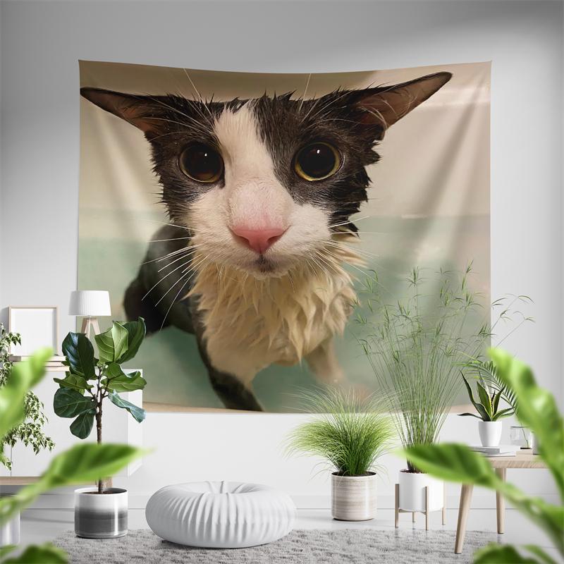 

Aertemisi Soggy Cat Tapestry Wall Hanging Art for Bedroom Living Room College Dorm Party Backdrop Home Decoration 74x94cm(29x37in)