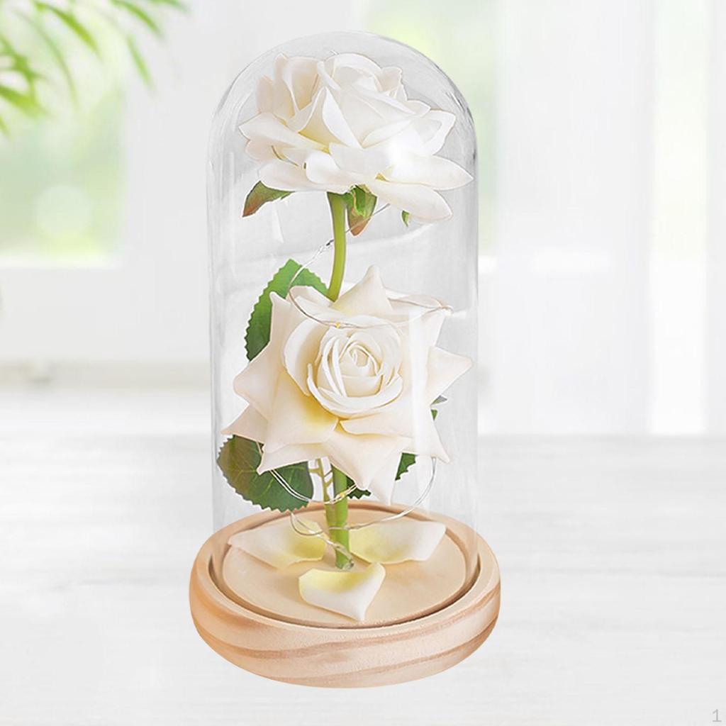 Valentines Day Gifts for Her with String Light Family Gathering Birthday