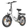 20-inch Folding Electric Bike 250W Motor 48V 16Ah Battery 25km/h 100km Range 20x3.0-inch Fat-Tire Electric Bicycle