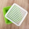 Peanut Bean Sprout Garlic Soilless Water Cultivation Sprout Planting Box Sprout Planting Pot Seedling Tray Garden Supplies
