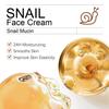 Snail Face Cream-24H Moisturize Skin-Firming Skin, Reduce Wrinkles-Suitable for All Skin Types, 50ml