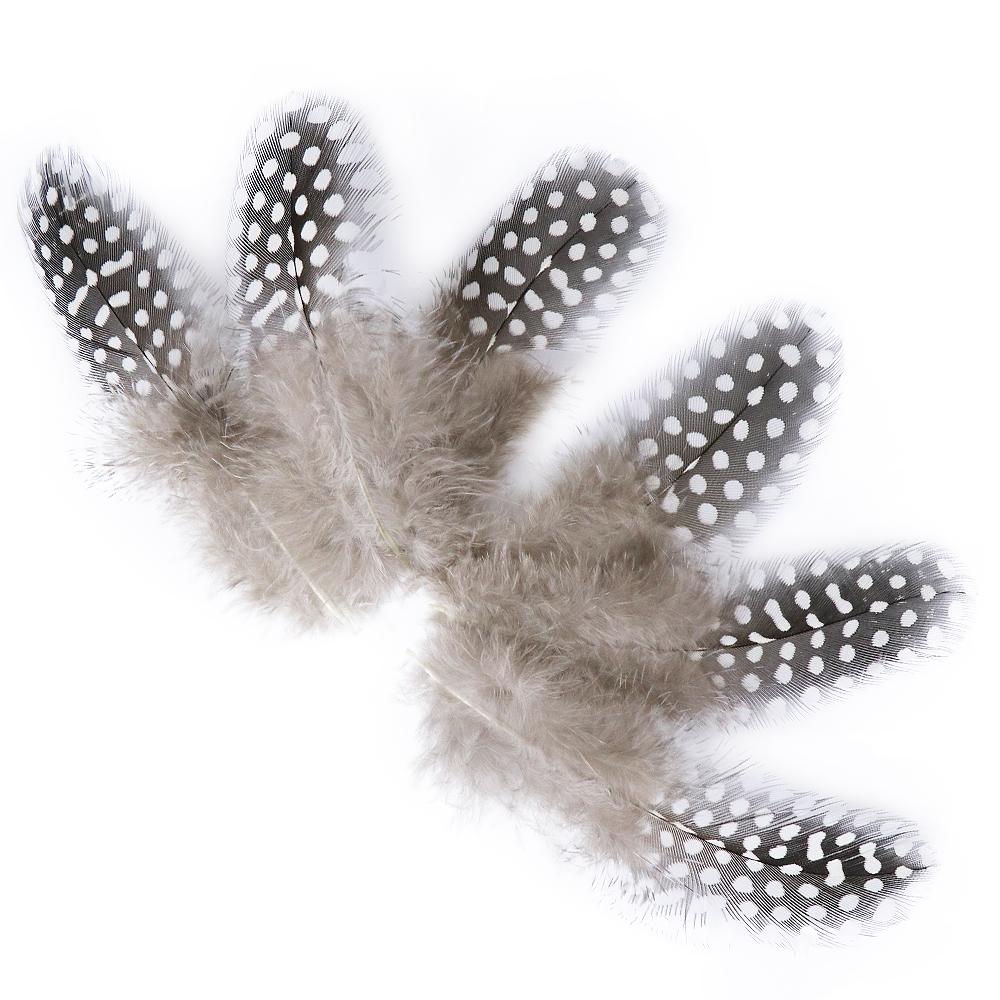 100PCS Natural Guinea Fowl Pheasant Feathers Natural Feathers Spotted 5-8cm Feathers for Crafts Dream Catcher Plume Decoration