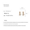 High-End Cubic Zirconia Star Ear Cuff - Versatile, Elegant, Simple, Exquisite Geometric Earring