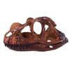 Ceratops Dinosaur Resin Skull Head Decoration Personalized Home Decor Teaching
