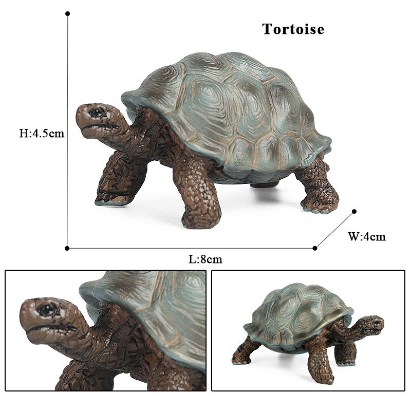 Oenux Ocean Animals Leatherback Tortoise Turtle Growth Cycle Sea Life Model Figurines Action Figures PVC Education Kid Toy Gift