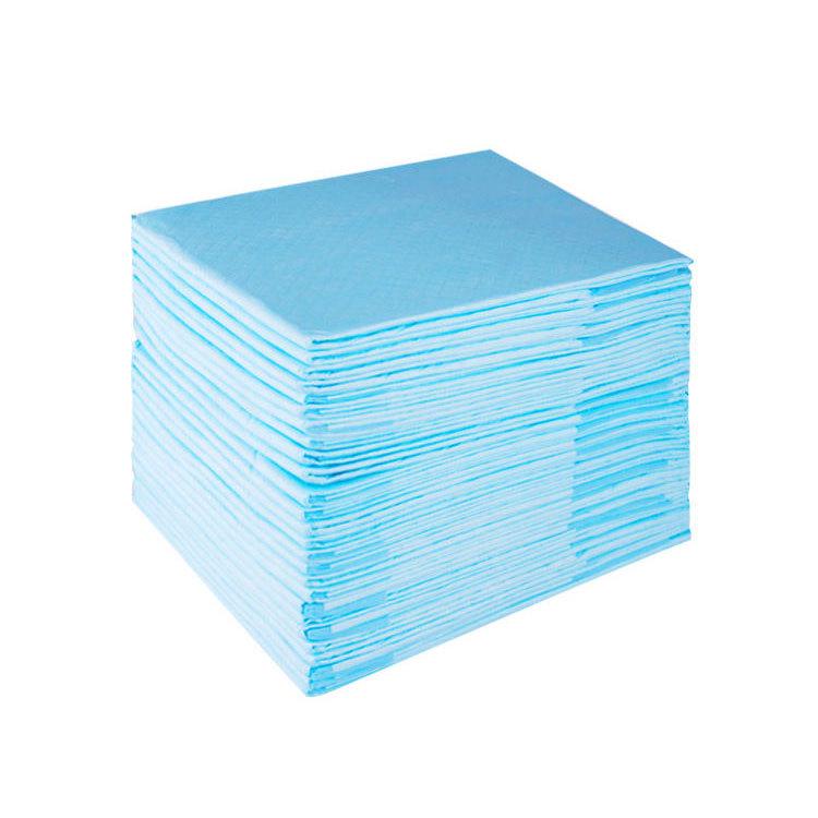 Deodorizing Absorbent Pet Pee Pads for Dogs and Cats - Disposable Training Pads