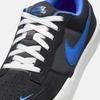 Nike SB Force Skate & Casual Shoes
