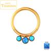 G23 Titanium Nose Rings Hinged Septum Clicker Segment Ear Tragus Cartilage Helix Daith Lip Body Piercing Jewelry Golden Earrings