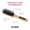 GB KENT Detangling Cushion Perfect for Your Hair Series PF20 Warrant Hairbrush, (Royal Holder)