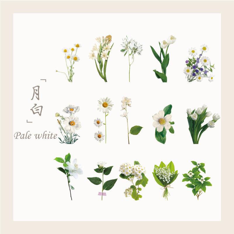 15 pcs Plant and flower PET sticker package Butterfly material sticker hand-decorated hand ledger sticker Junk Journal Supplies