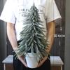 Creative White Basin Small Christmas Tree Simulation Tree Diy Home Small Potted Christmas Gift Desktop Mini Ornament Decoration