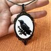 Black Bird Crow Photo Clavicle Chain Jewellery for Women Girls Rope Chain Choker