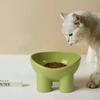 Non-Slip Anti-Dumping Pet Bowl 45° Inclined - Macaron 4-Color Pet Grade, High Feet Stable Food & Water Dish for Cats Dogs
