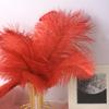 Color 20-25Cm Ostrich Hair Vase Ornament Wall Feather Decoration Hand Bouquet Flower Arrangement Diy Material