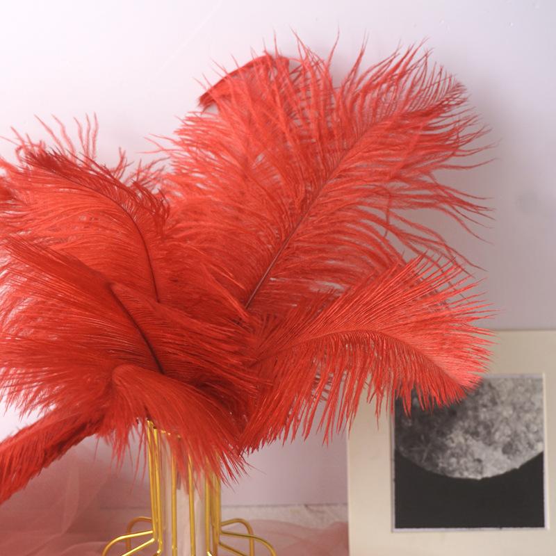 Color 20-25Cm Ostrich Hair Vase Ornament Wall Feather Decoration Hand Bouquet Flower Arrangement Diy Material