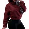Fall Winter New Fleece Rabbit Ears Hoodie Sweatshirt