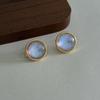 Original geometric natural dried flower stud earrings Mori niche commuting temperament earrings literary and gentle versatile earrings