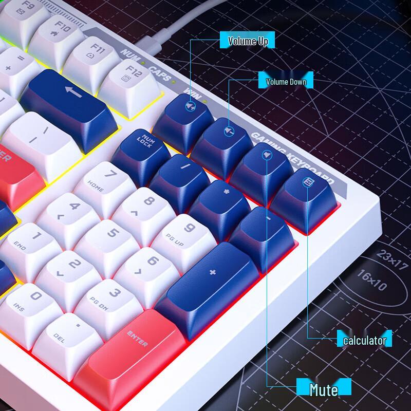 HP K-Series Wired Backlit Gaming & Office Keyboards