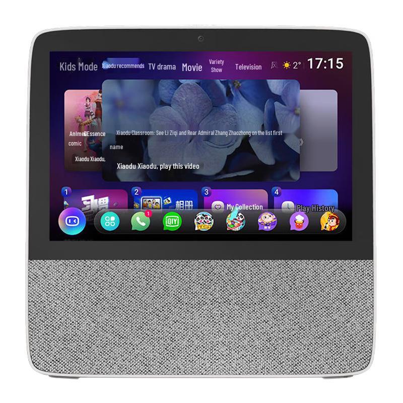 

Xiaodu Smart Screen X8 8-inch HD Display