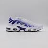 DM0032-105 Nike Air Max Plus Wild Grape (Men's)