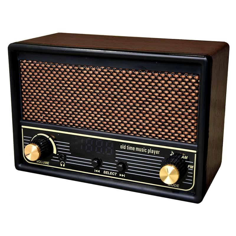 

FESCO singing radio DX100 Music player with AM/FM radio SRDX-001