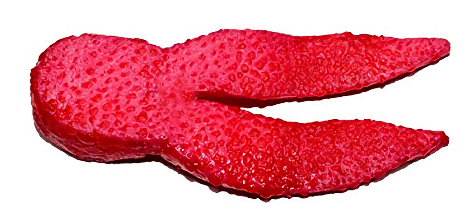 

Tsurikichi Hormone Pig Daddy Gore Red Jr.