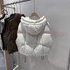 2024 Autumn/Winter Korean-Style Women's Hooded White Duck Down Casual Vest