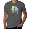 Budgie Couple Tshirt Summer Sports Quick Dry Tshirt