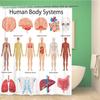 Menschlicher Körper Duschvorhang Illustration Badezimmer Dekor, Wissenschaft Menschliche Anatomie Duschvorhänge, Skelett Schädel Stoff Badezimmer Set