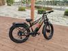 LANKELEISI MG800 MAX E-Bike 2000W Motor Geländetauglich 26*4.0 Zoll Fat Tire Elektrofahrrad 48V20Ah Vollfederung Elektrofahrrad