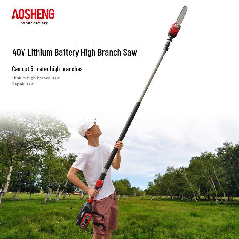 Aosheng Machinery H40GZ12 Cordless Electric Pole Chainsaw CN plug (adapter included)